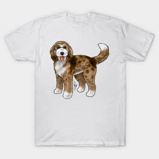 Dog - Bernadoodle - Red Merle T-Shirt